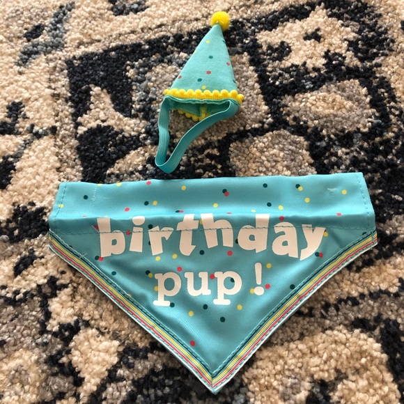 Other - Birthday attire for small dog